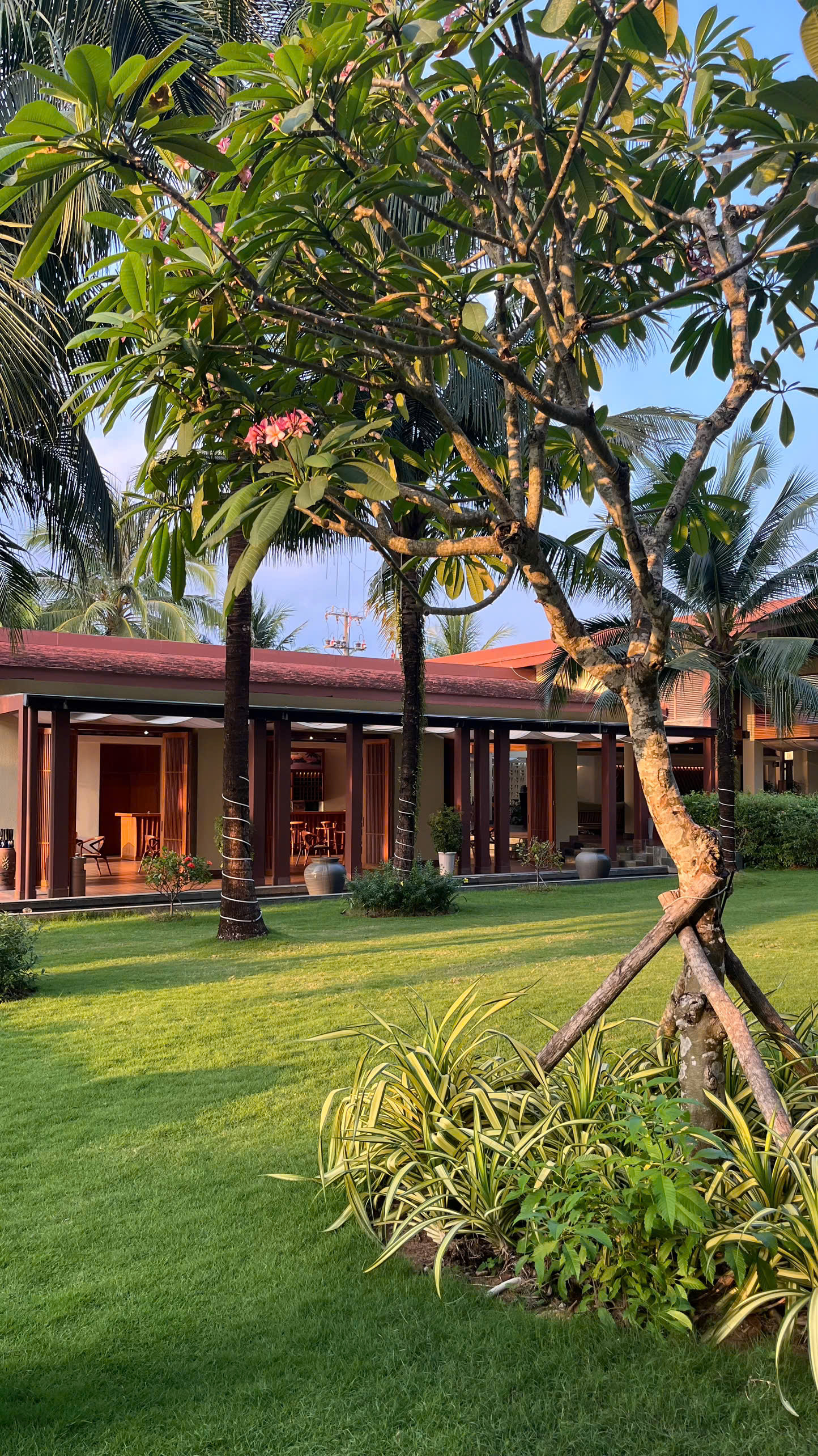 MOONRISE RESORT