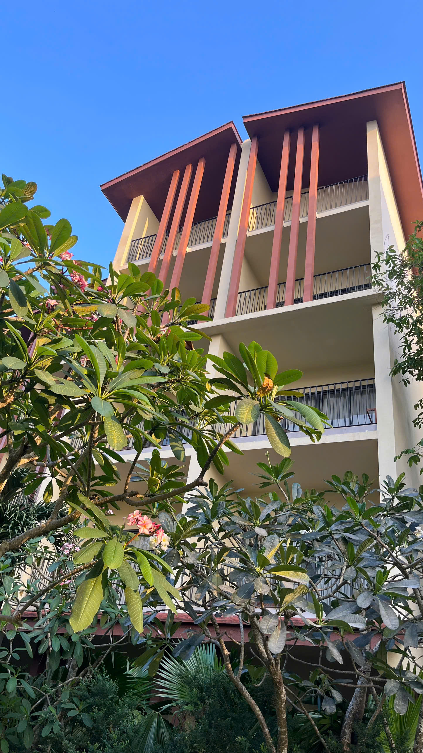 MOONRISE RESORT